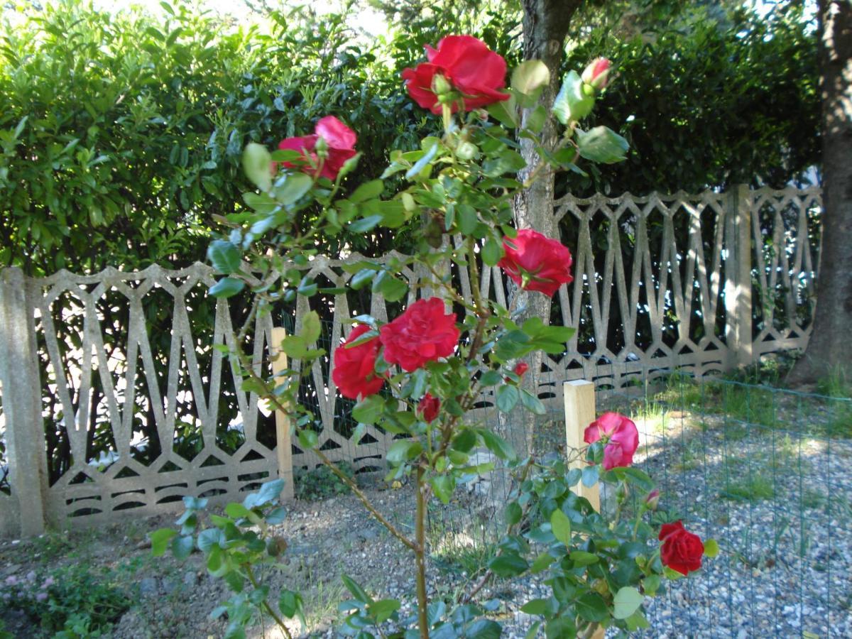 Casa T Bed And Breakfast & Home Restaurant Di Tacchino Simone Tagliolo Monferrato Buitenkant foto