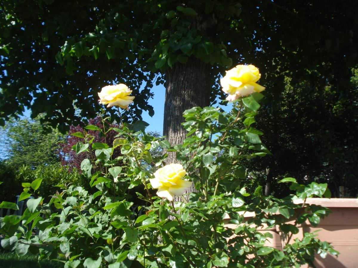 Casa T Bed And Breakfast & Home Restaurant Di Tacchino Simone Tagliolo Monferrato Buitenkant foto