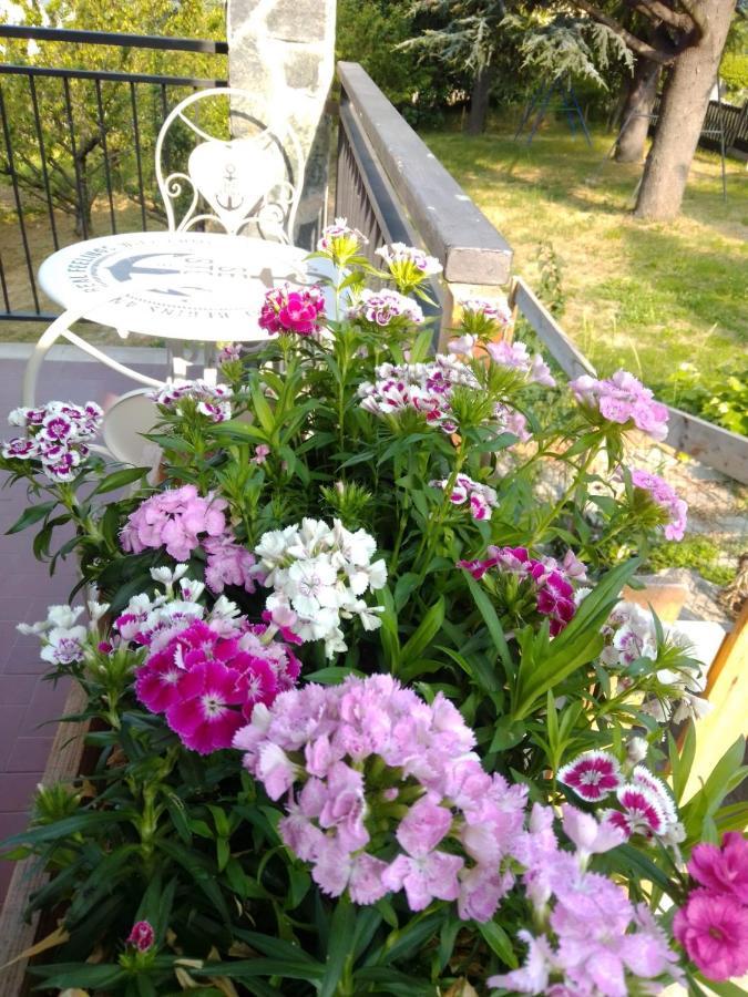 Casa T Bed And Breakfast & Home Restaurant Di Tacchino Simone Tagliolo Monferrato Buitenkant foto